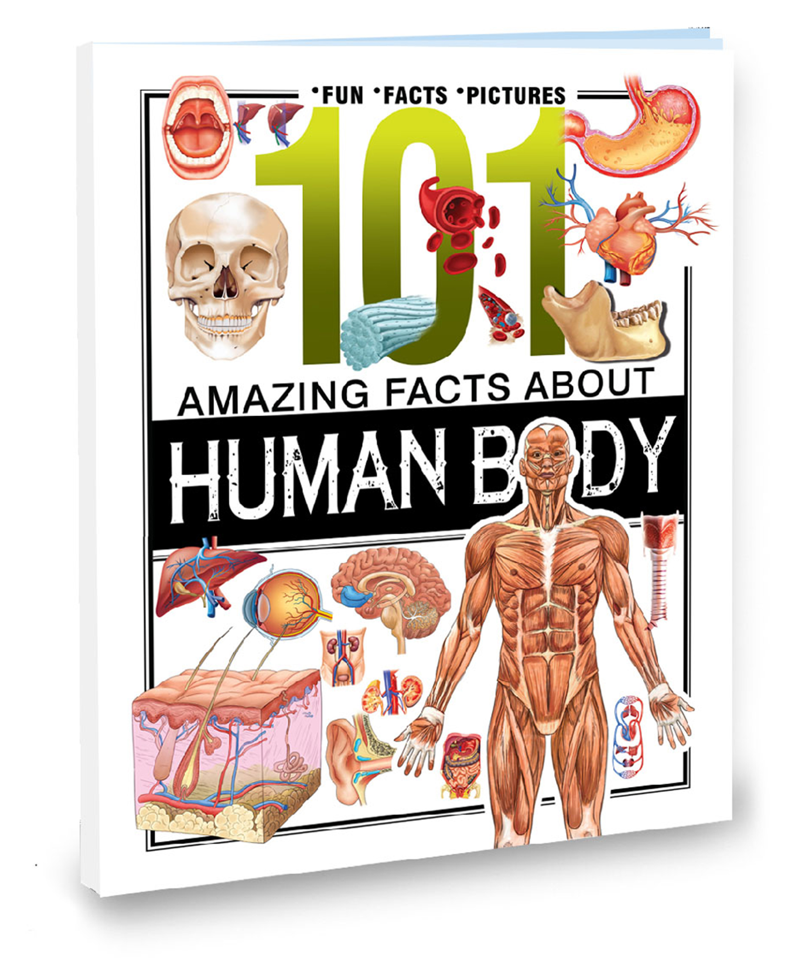 101 Facts Human Body Book